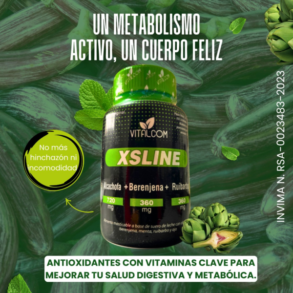 XS LINE VITALCOM